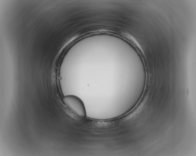 X0000112490827200908170949