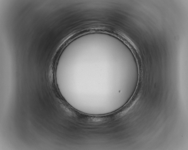X0000112490829200908170949