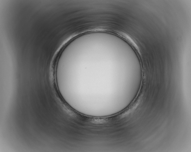 X0000112490835200908170949
