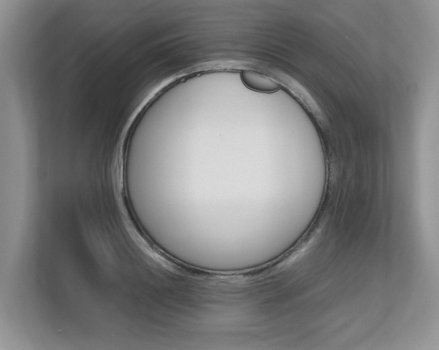 X0000112490844200908170950