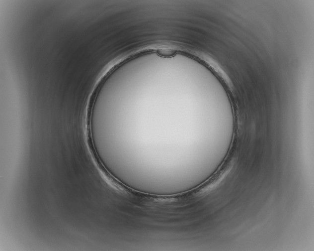 X0000112490845200908170950