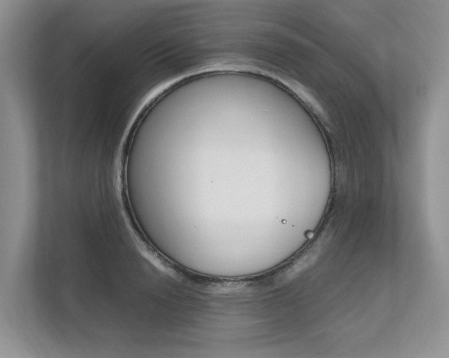 X0000112490846200908170950
