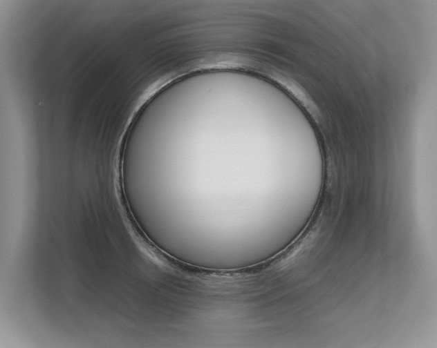 X0000112490850200908170950