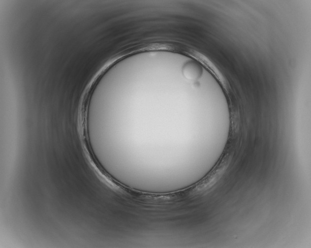 X0000112490851200908170950