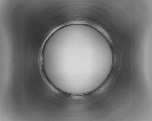 X0000112490852200908170950