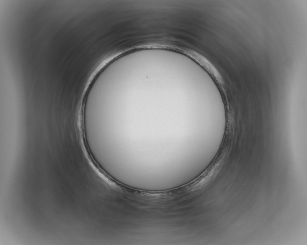 X0000112490855200908170950