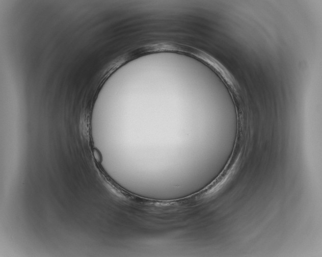 X0000112490857200908170950