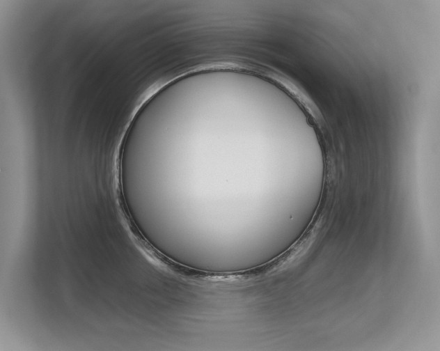 X0000112490858200908170950