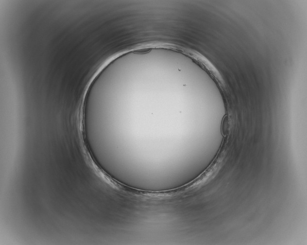X0000112490860200908170950