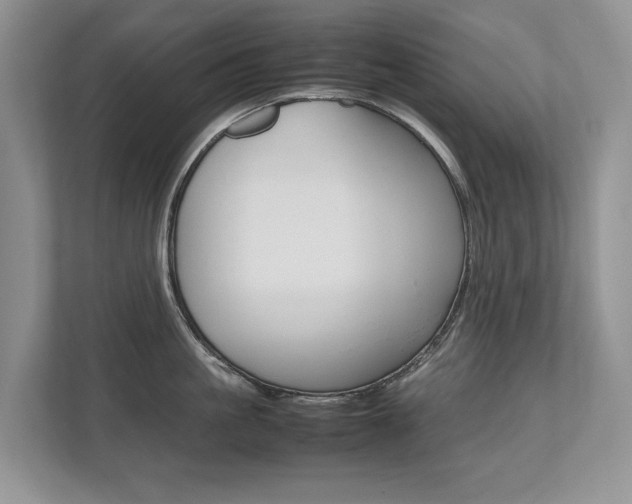 X0000112490861200908170950