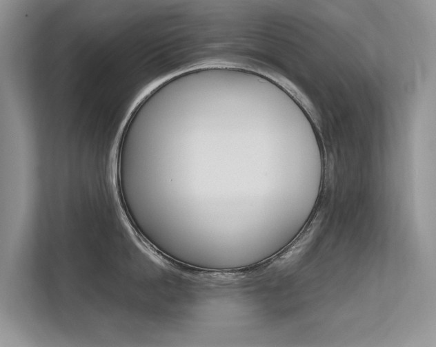 X0000112490862200908170950