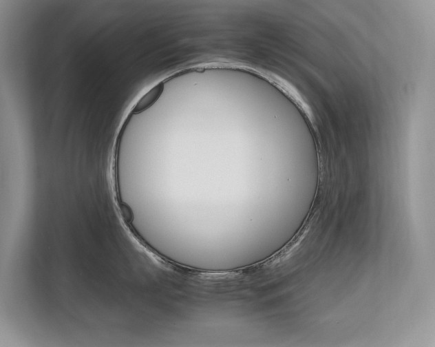 X0000112490863200908170950