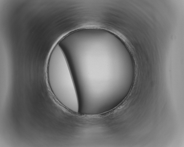 X0000112490864200908170950
