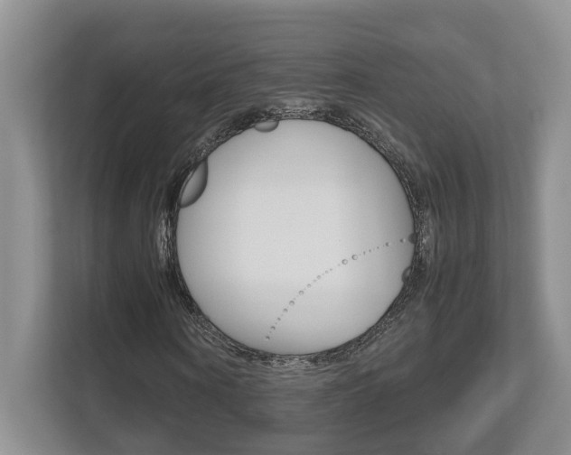 X0000112490866200908170949