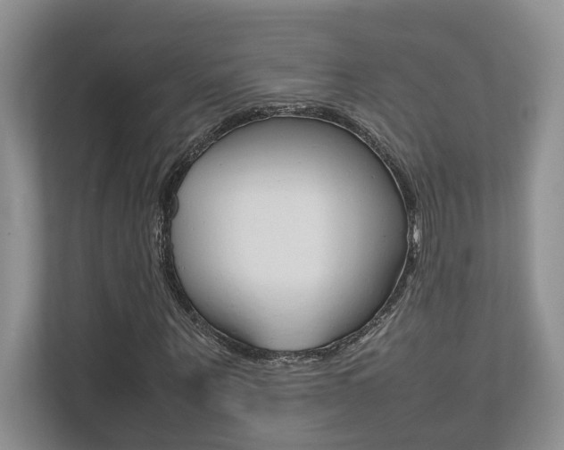 X0000112490867200908170949
