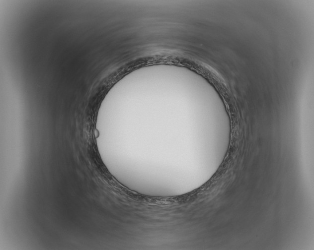 X0000112490869200908170949