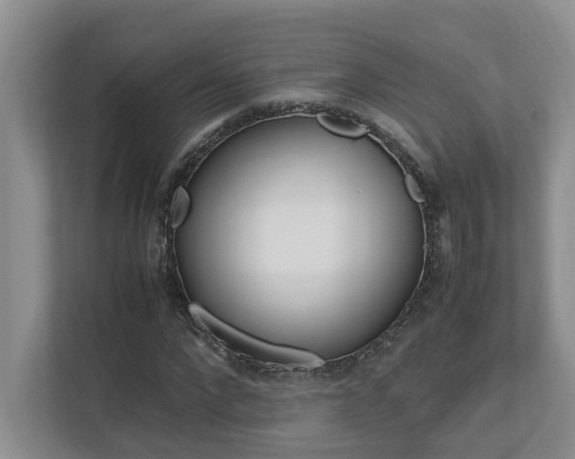 X0000112490872200908170949