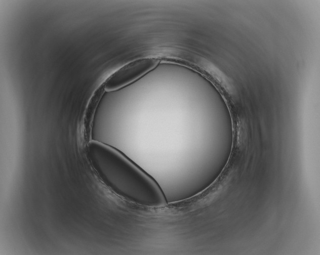 X0000112490876200908170949