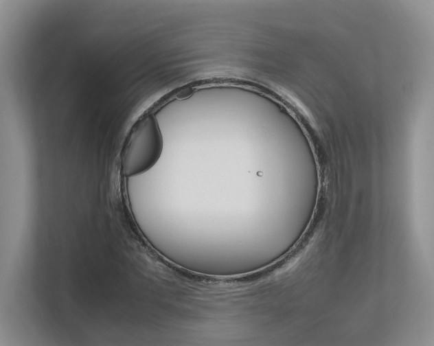 X0000112490877200908170949