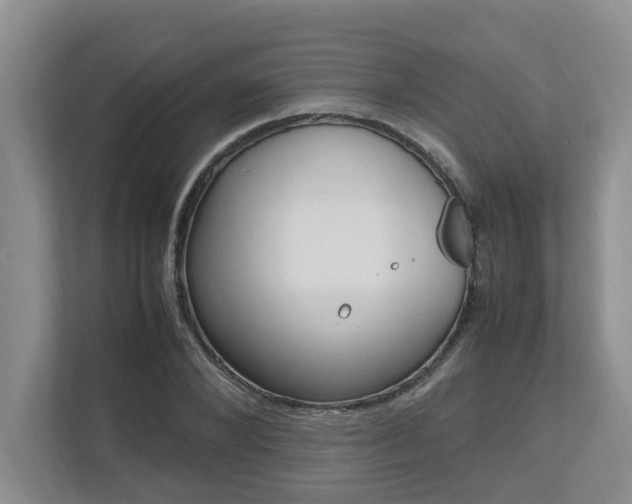 X0000112490880200908170949