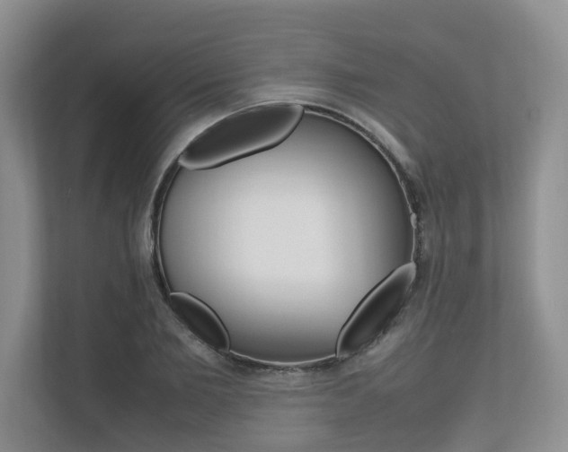 X0000112490885200908170949