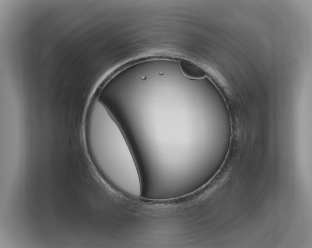 X0000112490888200908170949