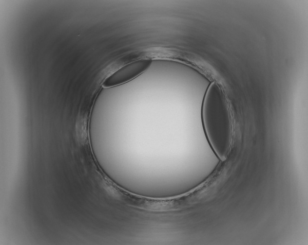 X0000112490889200908170949