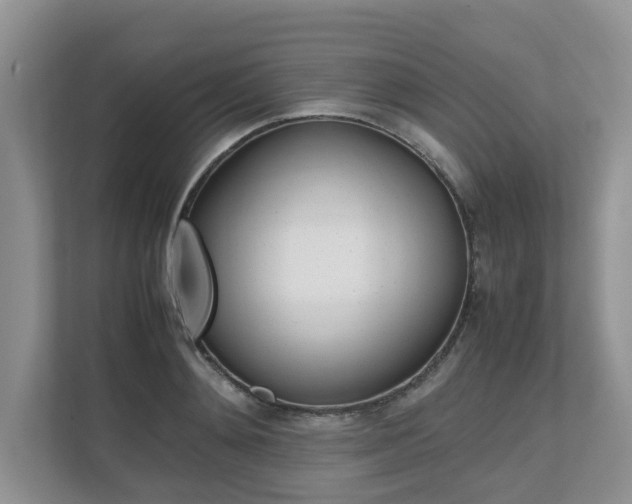 X0000112490892200908170949