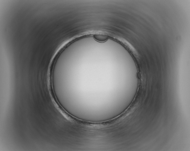 X0000112490894200908170949