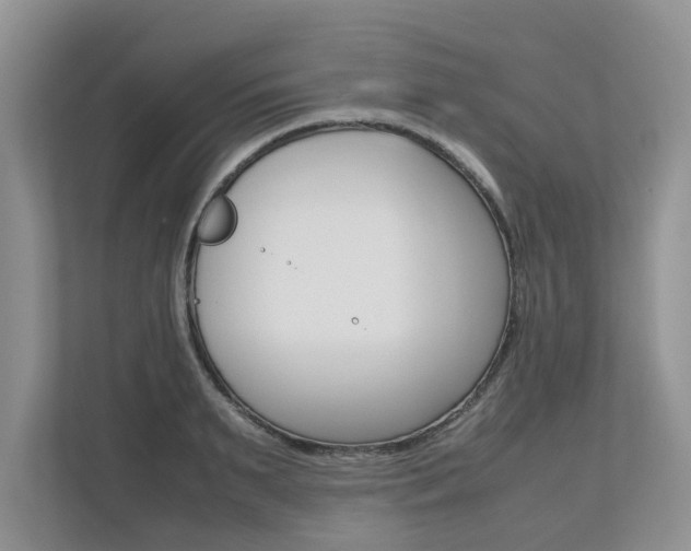 X0000112490895200908170949