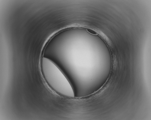 X0000112490896200908170949