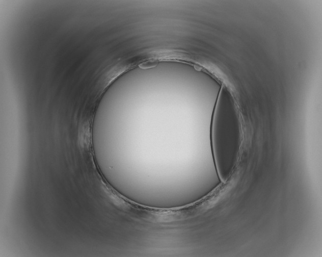 X0000112490897200908170949