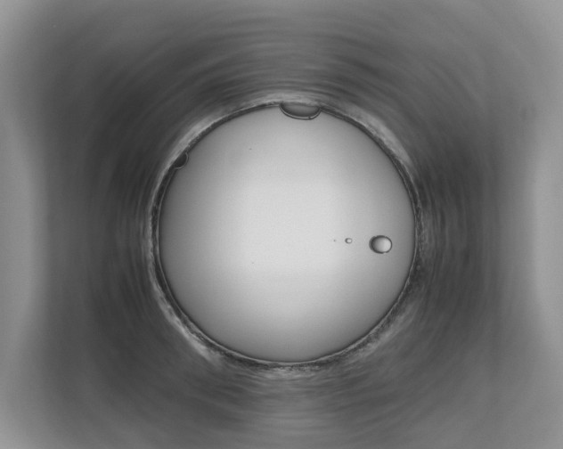 X0000112490898200908170949
