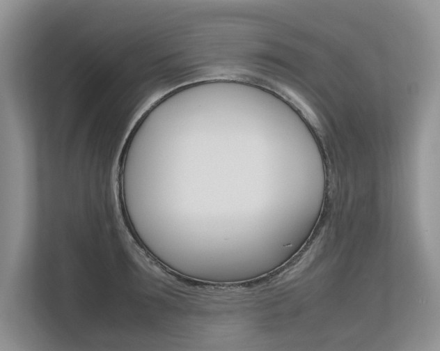 X0000112490899200908170949