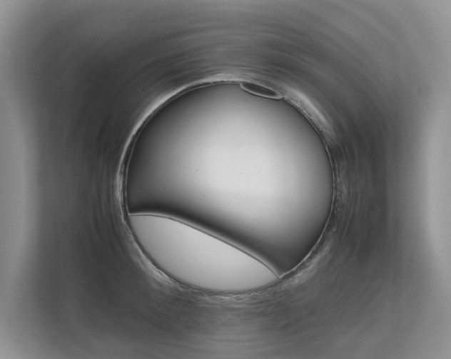 X0000112490900200908170949