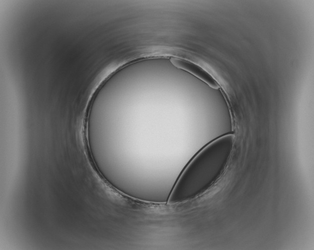 X0000112490901200908170949