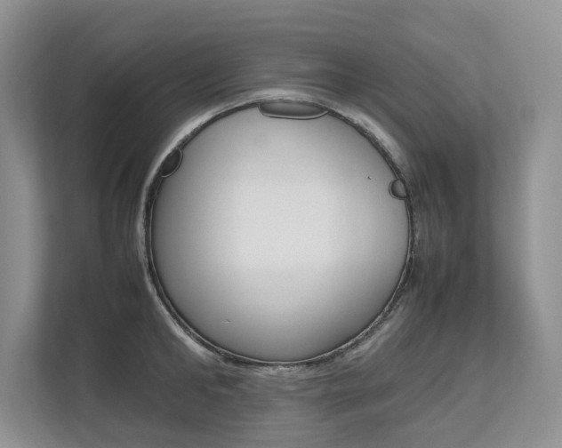 X0000112490902200908170949
