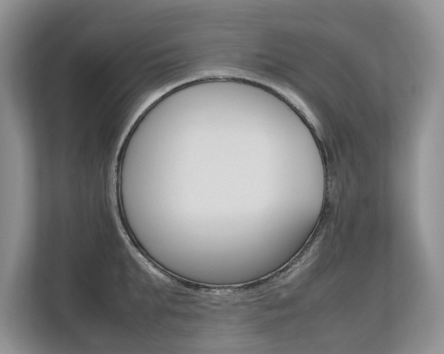 X0000112490903200908170949