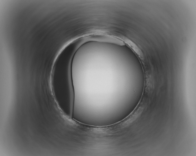 X0000112490904200908170949