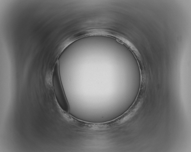 X0000112490905200908170949