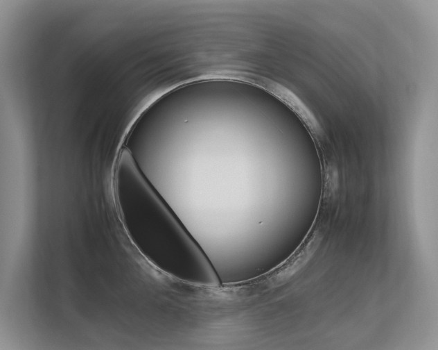 X0000112490908200908170949