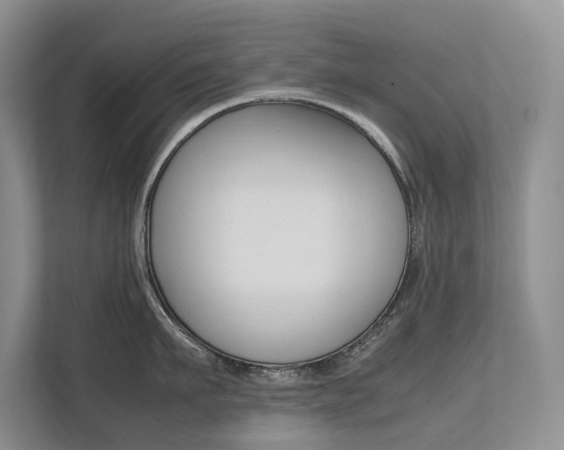 X0000112490911200908170949