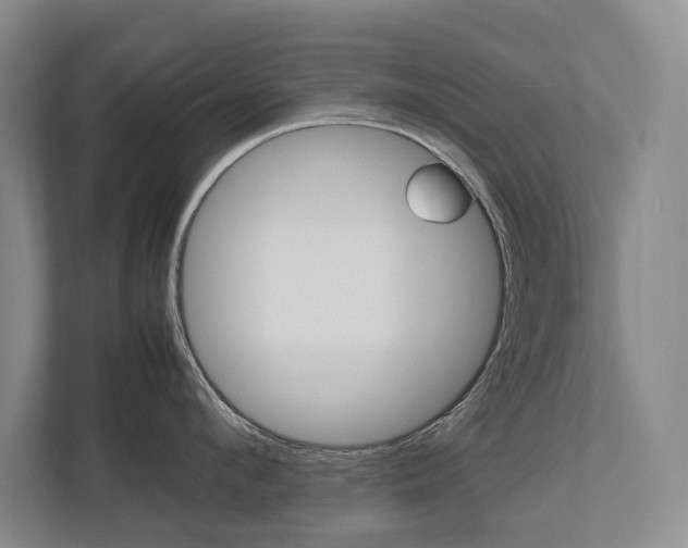 X0000112490912200908170949