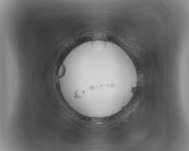 X0000112490913200908170948