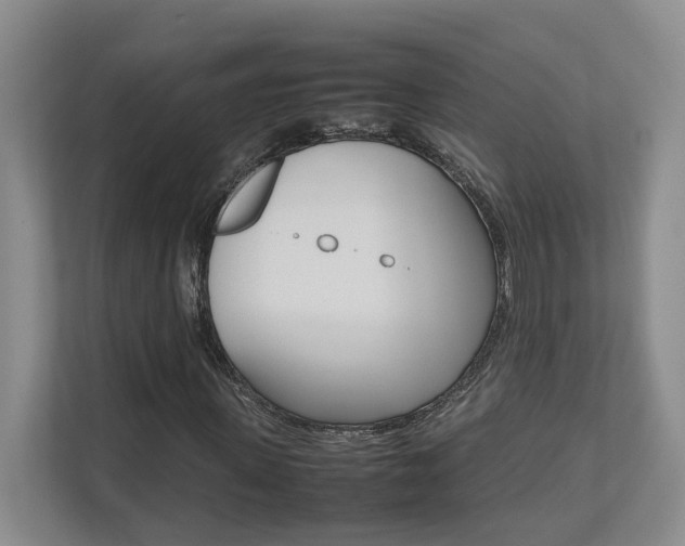 X0000112490915200908170948