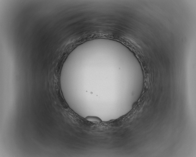 X0000112490917200908170948