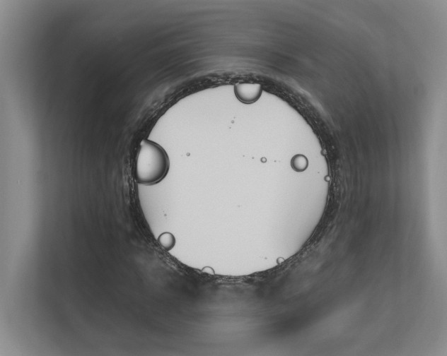 X0000112490918200908170948