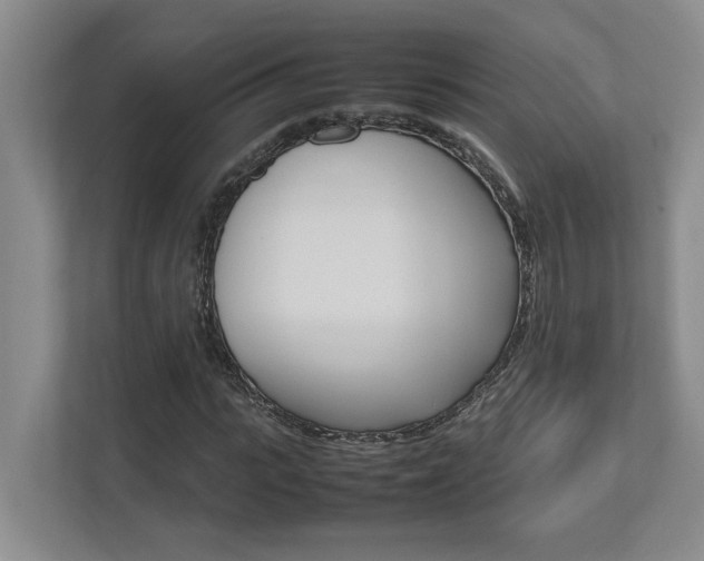 X0000112490919200908170948