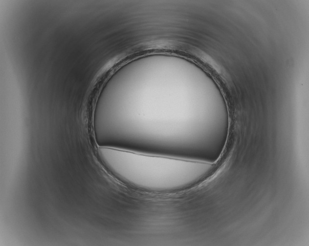 X0000112490922200908170948