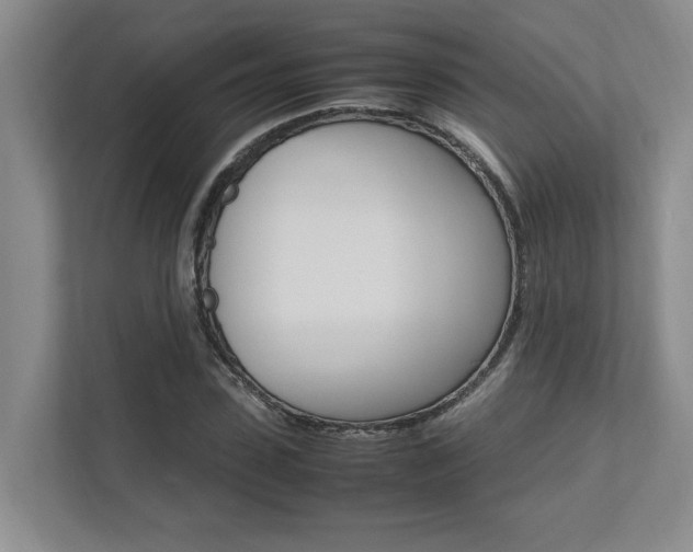 X0000112490923200908170948